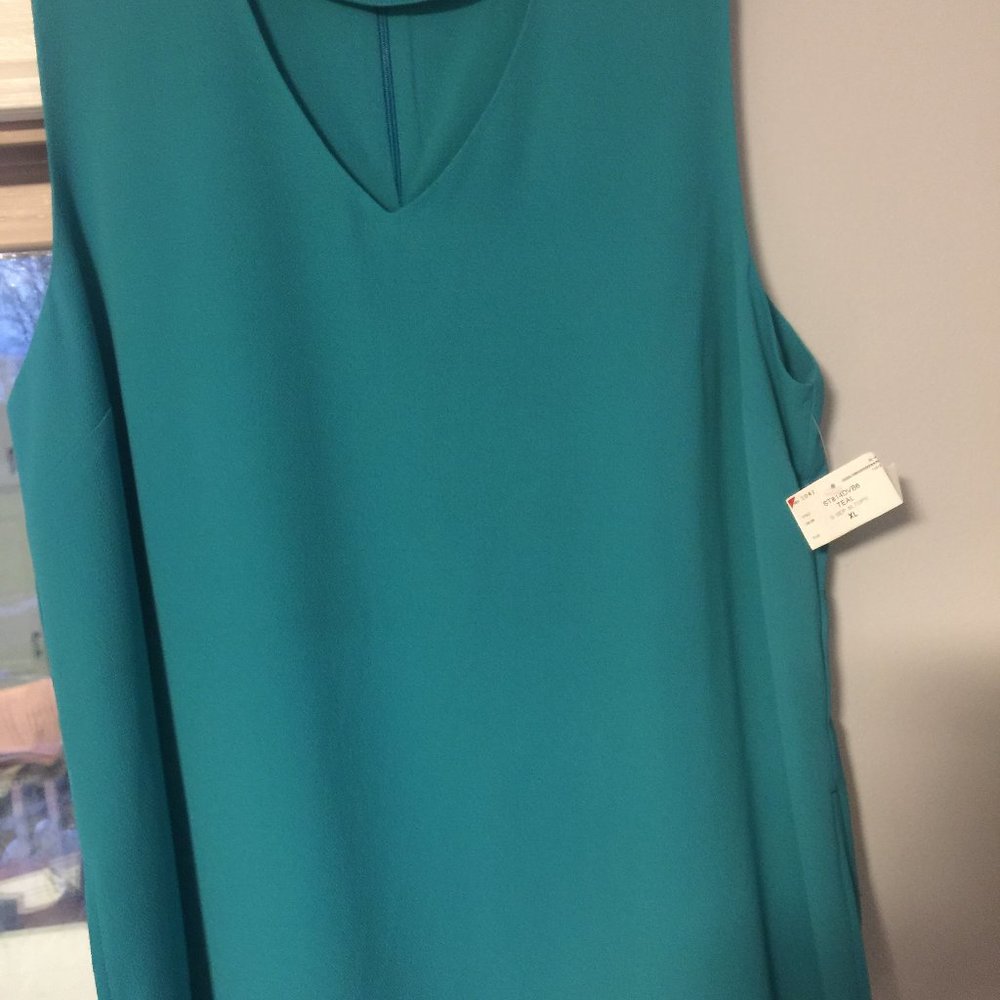 high choker v neck collar cut  blouse